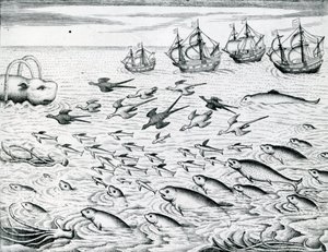Zeegezicht, Illustratie uit 